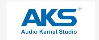ЧS:BT޹˾ ƷAKS