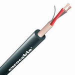 LINK(xin):CVS LK 02N6E